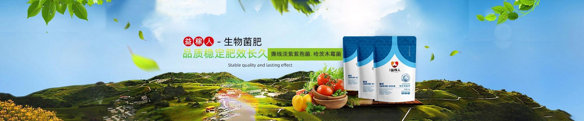 banner2